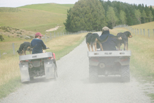 Philip and Anne Munro